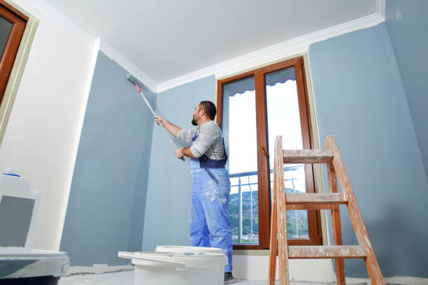 Best Attic Mold Removal  in Stamford, CT
