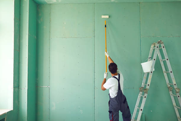 Best Basement Mold Removal  in Stamford, CT
