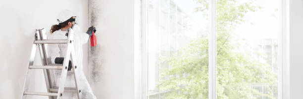 Stamford, CT Mold Removal Company